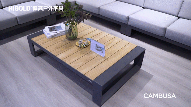 CAMBUSA系列產(chǎn)品