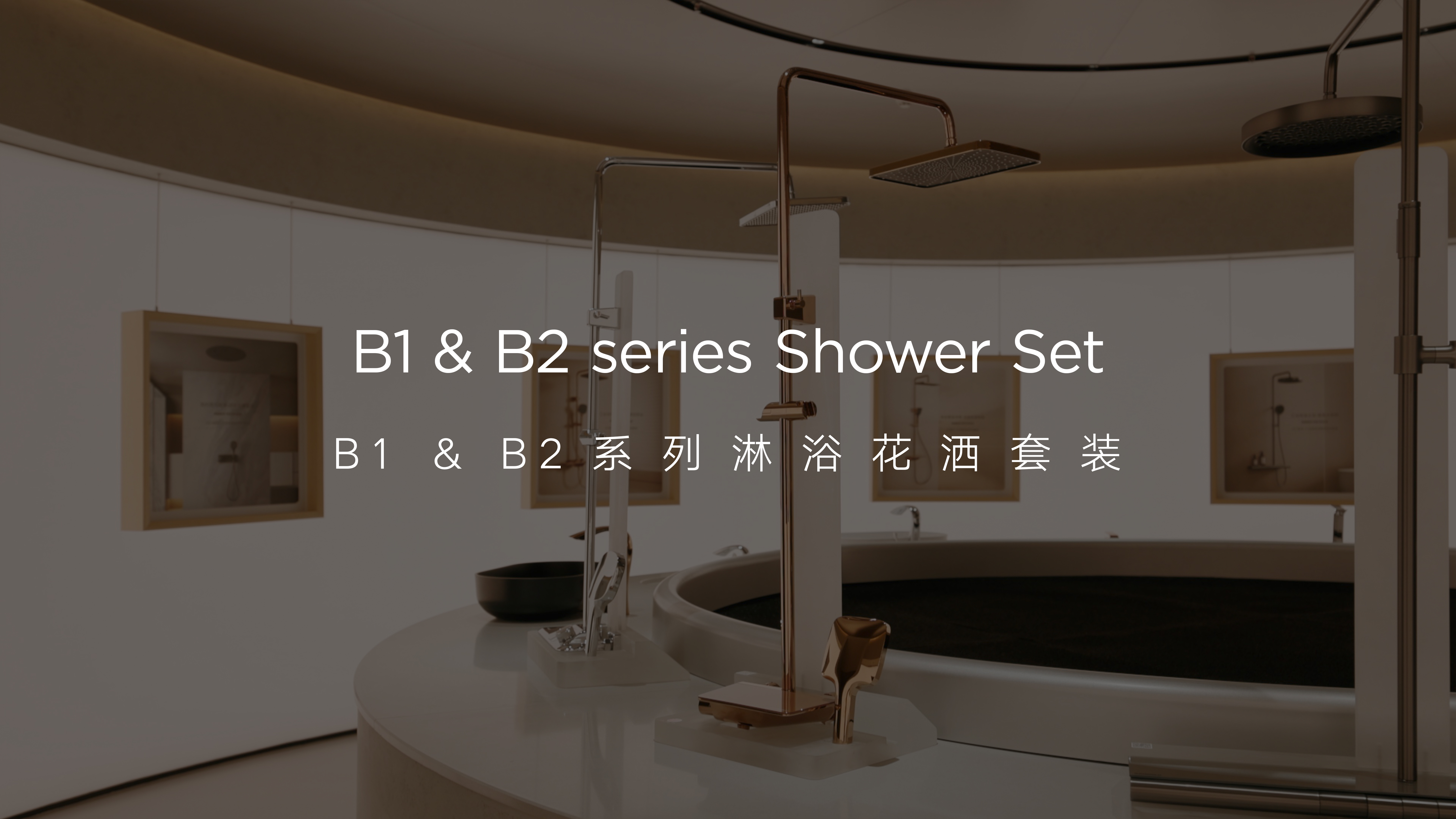 悍高B1&B2系列淋浴花灑