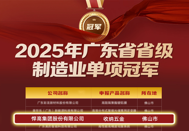 喜訊 | 悍高榮膺廣東省制造業(yè)單項(xiàng)冠軍